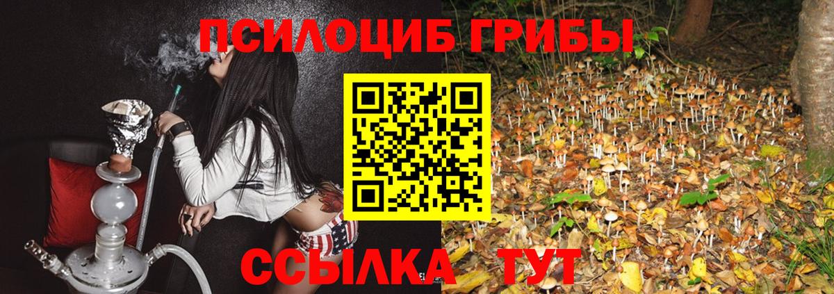 Галлюциногенные грибы мухоморы  цена наркотик  Гагарин  Вход с VPN  Псилоцибиновые грибы мицелий 